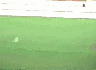 Tajny film ze zgrupowania reprezentacji Polski