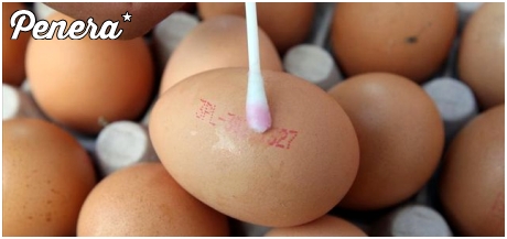 Tak się oszukuje na wiejskich jajach