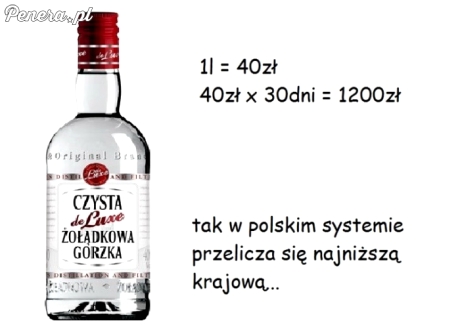 Tak się w Polsce oblicza najniższą krajową