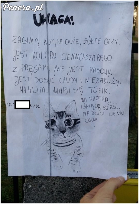 Tak się wzruszyłem tym ogłoszeniem