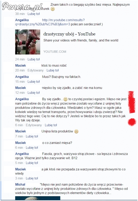 Tak wygląda jałowa dyskusja z wegetarianką