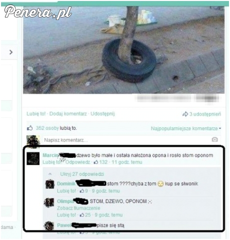 Tak wygląda kłótnia analfabetów