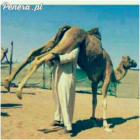 Tak wygląda rozruch ze ssaniem