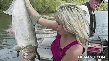 Taka ryba Panie była