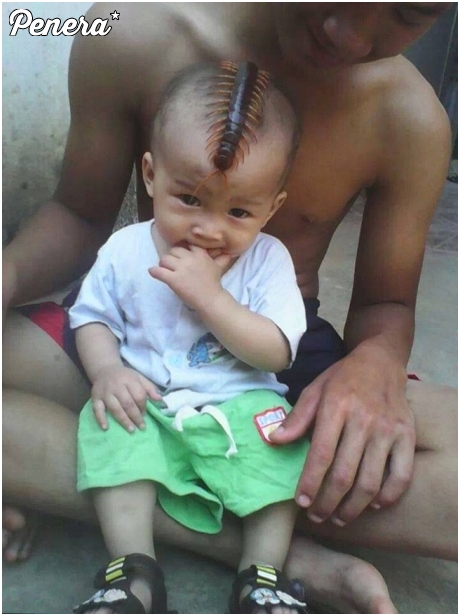 Tatuś oswaja synka z naturą