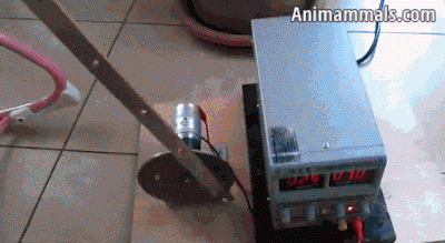 Tatuś zawsze coś wymyśli