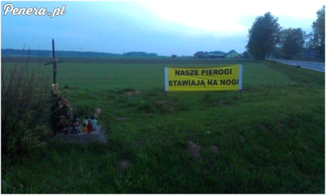 Te pierogi stawiają na nogi