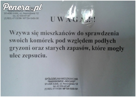 Te podłe gryzonie :D