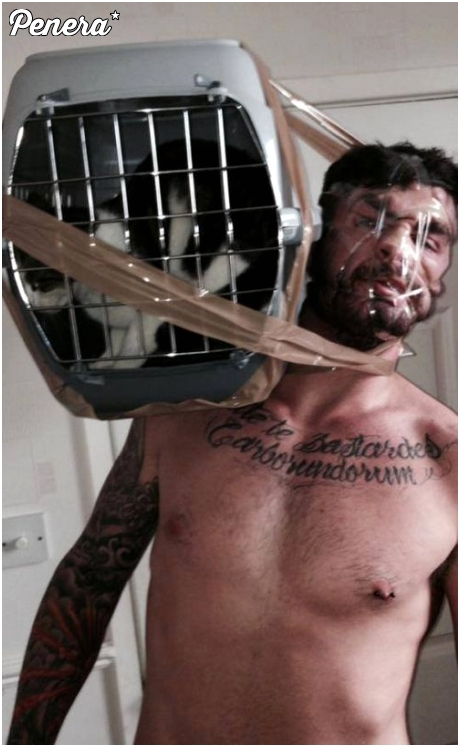 Ten kot będzie miał traumę chyba do końca życia