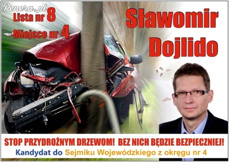 Ten typ ma zamiar walczyć z przydrożnymi drzewami