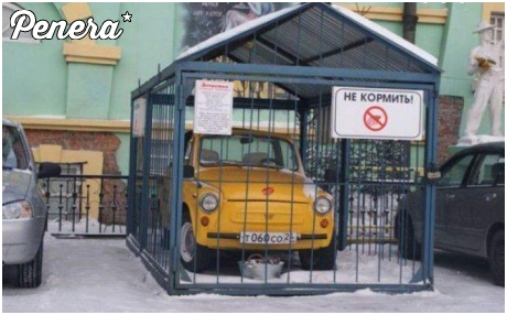 Teraz nikt nie ukradnie