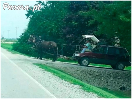 Testowanie nowego transportu na Krupówki