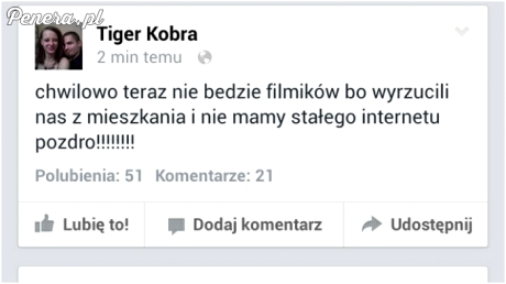 Tigera i Kobrę wyrzucili z mieszkania