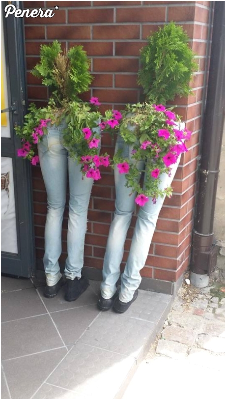 To dopiero pomysł na donice