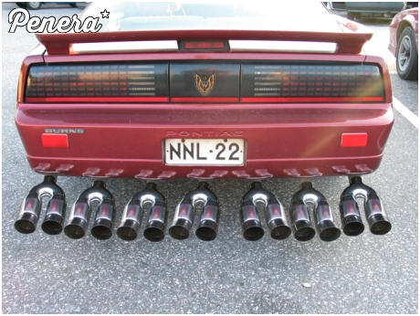 To jest właśnie penereska przesadza