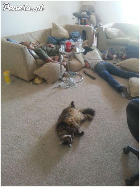 To musiała być gruba impreza