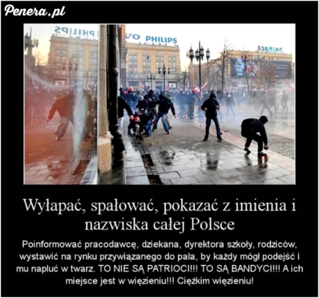 To powinno się z nimi robić!