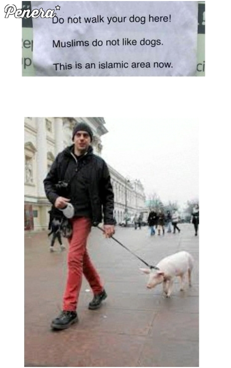 Trollowanie islamistów w Anglii