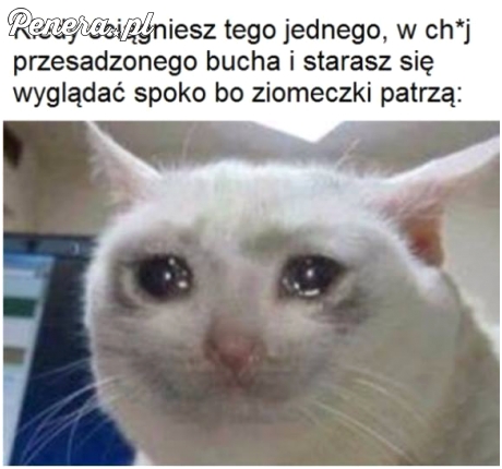 Trzeba się pilnować bo są tacy co za to albo kiszenie skręta potrafią zabić ;) Trzeba się pilnować bo są tacy co za to albo kiszenie skręta potrafią zabić ;)