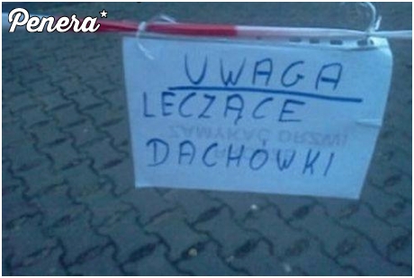 Tu spotkasz dachówki które leczą