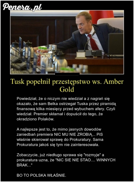 Tusk popełnił przestępstwo w sprawie Amber Gold