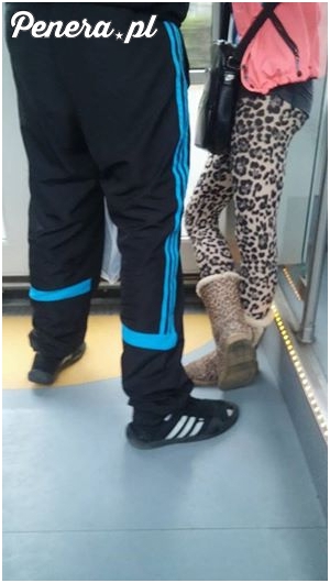 Tymczasem moda Polska