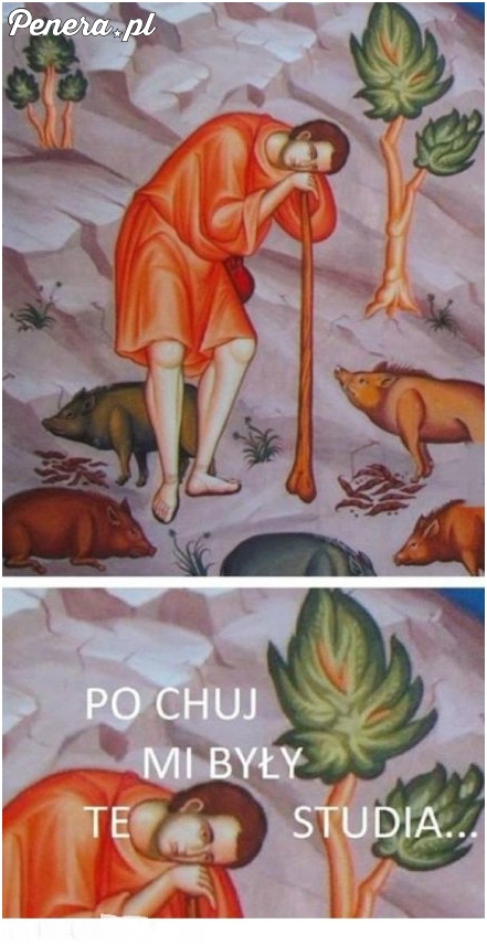 Tymczasem po studiach humanistycznych