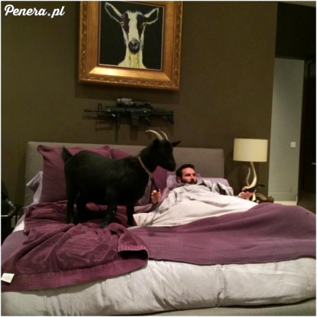 Tymczasem w sypialni szejka