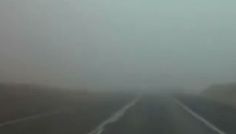 Tymczasem we mgle pojawił się ...