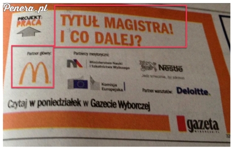 Tytuł magistra i co dalej?