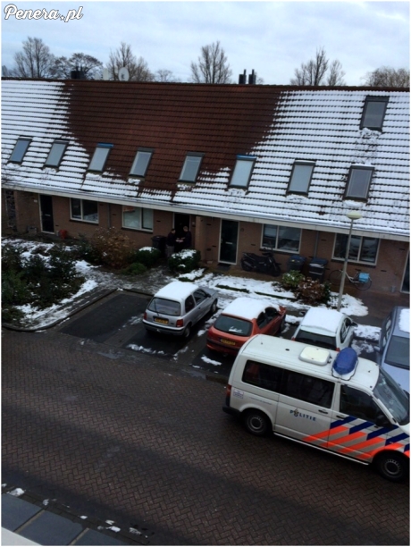 Ukryta plantacja marihuany