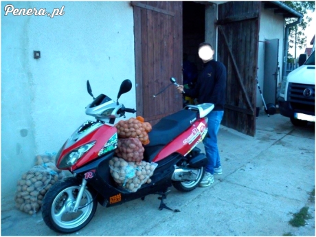 Uwaga ziemnioki wiozę