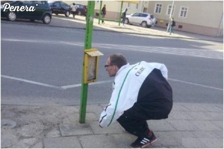 W Elblągu rozkłady jazdy mają na wysokim poziomie