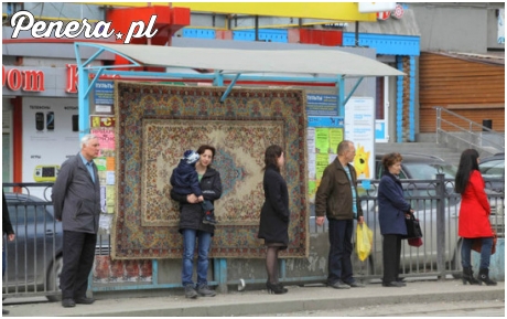 W Rosji dywany są nawet na przystankach