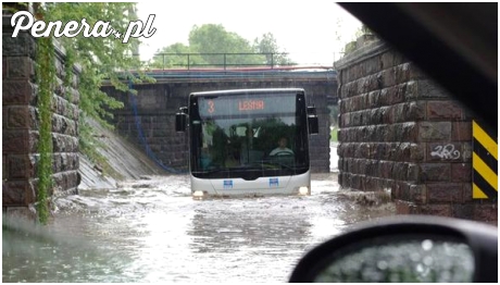 W Siedlcach autobusy się nie spóźniają