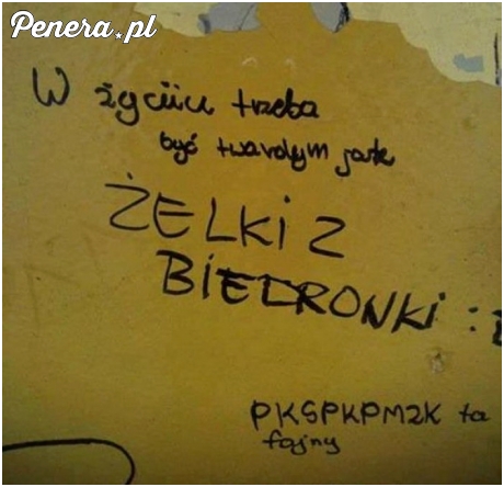 W życiu trzeba być twardym