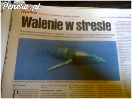 Walenie w stresie