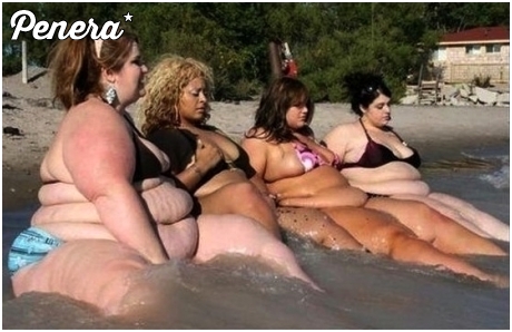 Walenie wyrzuciło na brzeg