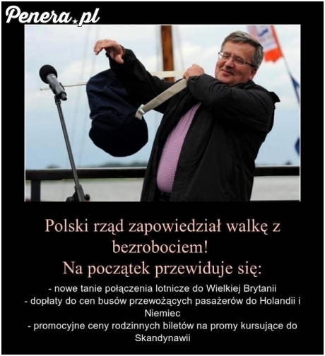 Walka z bezrobociem wg Polskiego Rządu