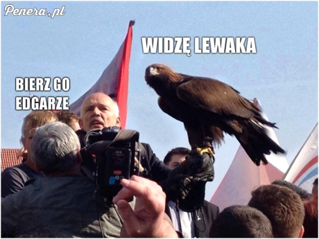 Widzę lewaka