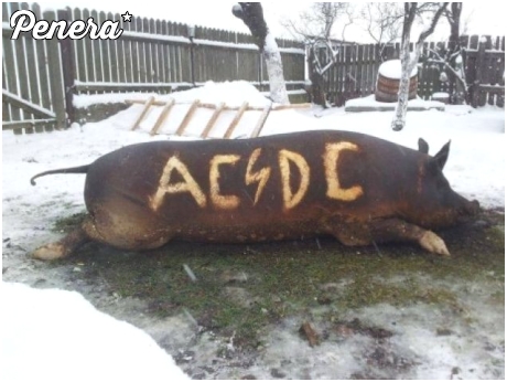 Wielka fanka AC/DC
