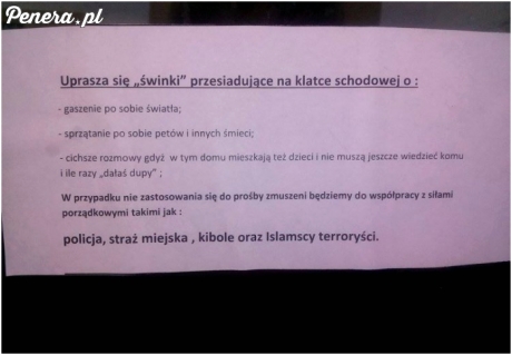 Wielka prośba do świnek