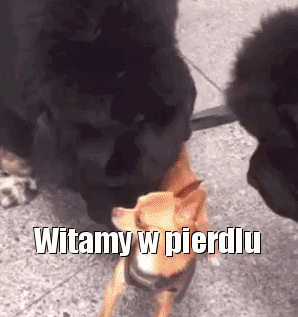 Witamy w pierdlu
