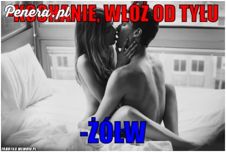 Włóż od tyłu