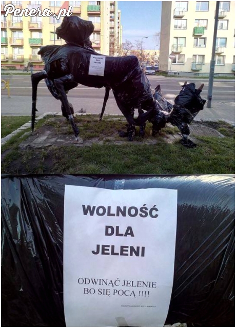 Wolność dla Jeleni