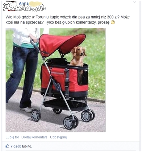 Wózek dla psa - pilnie