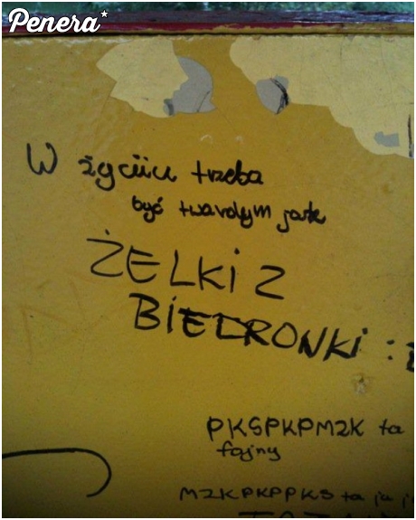 Współczesna poezja ścienna