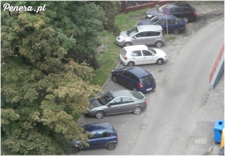 Wszyscy potrafią się dostosować...