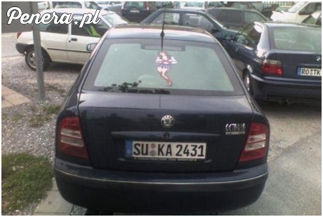 Wyrażenie swojego zdania publicznie