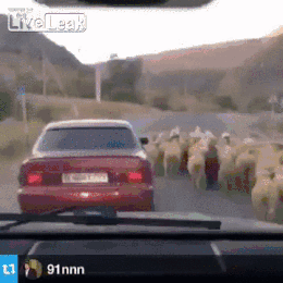 Wyrywanie laske na araba